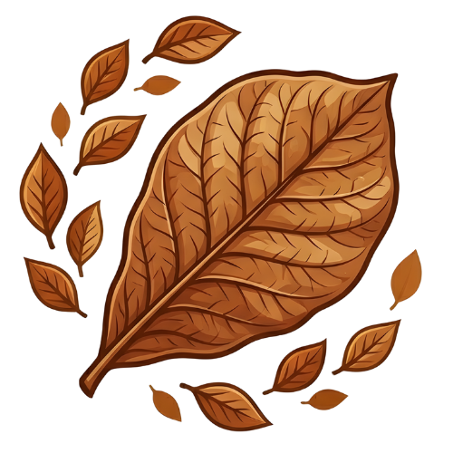 Ekspor Daun Ketapang